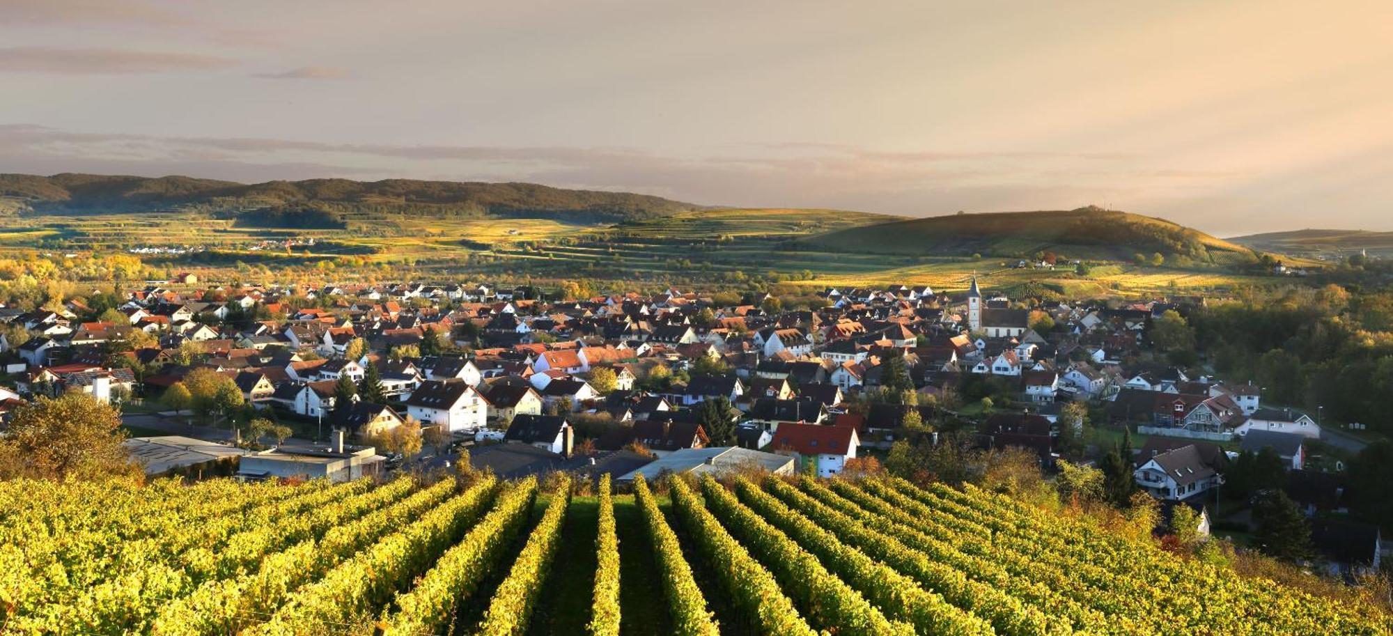 Ferienhof Schloessle Sasbach am Kaiserstuhl Exterior photo